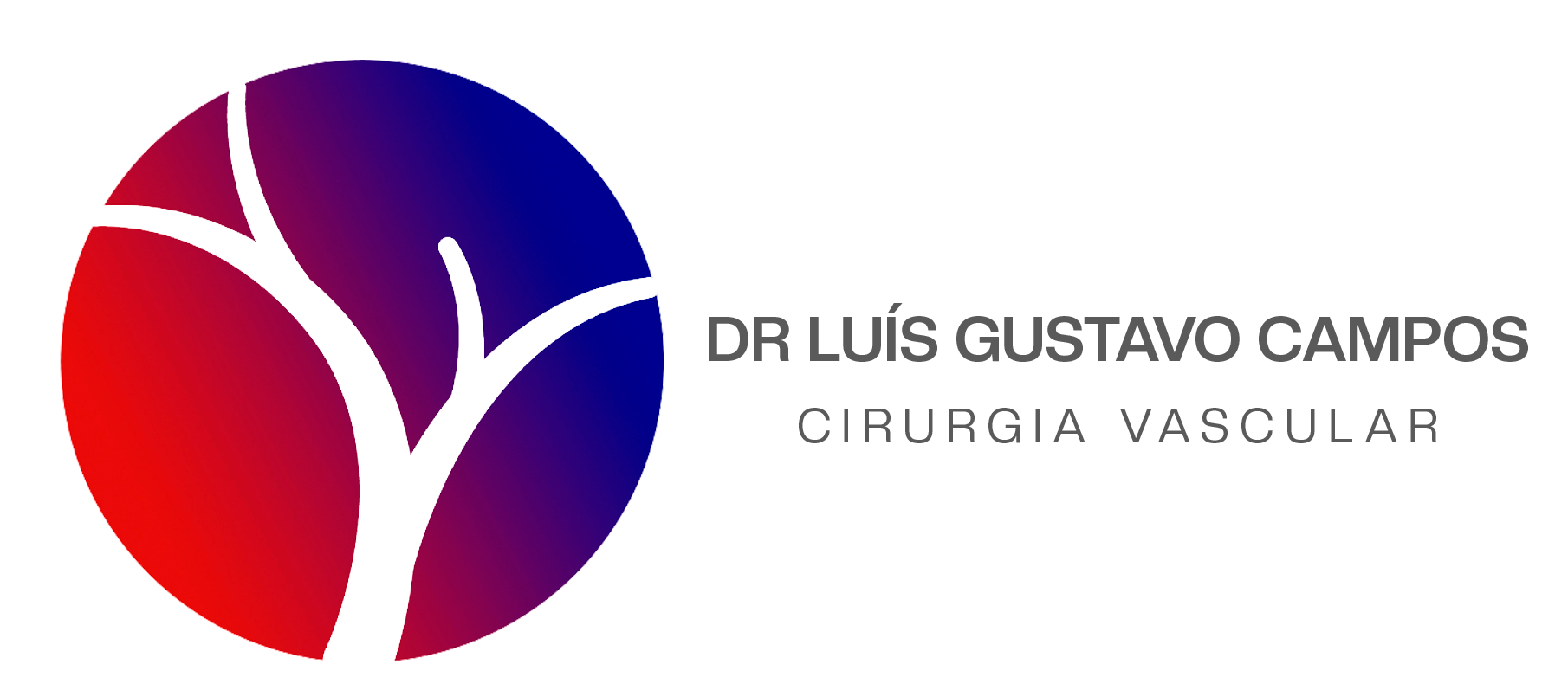 Logo DR LUIS-sem-fundo-horizontal-transparente